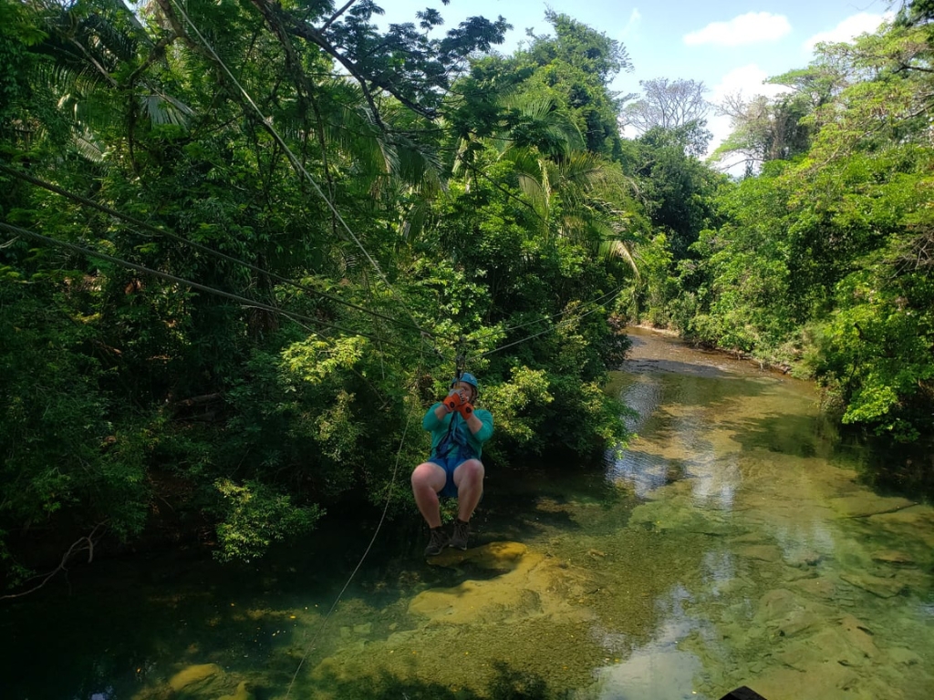 zipline (1)